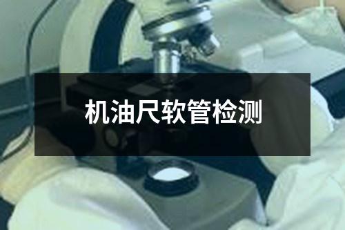 機(jī)油尺軟管檢測(cè)