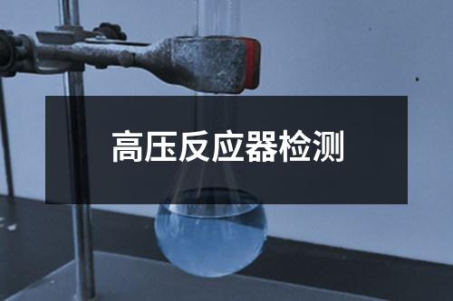 高壓反應(yīng)器檢測(cè)
