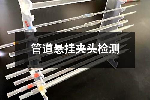 管道懸掛夾頭檢測(cè)