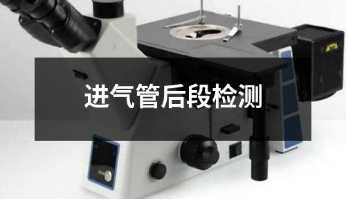 進氣管后段檢測