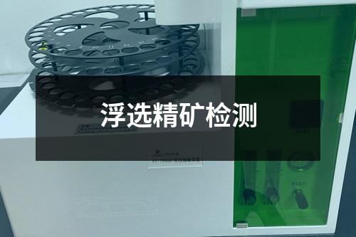 浮選精礦檢測