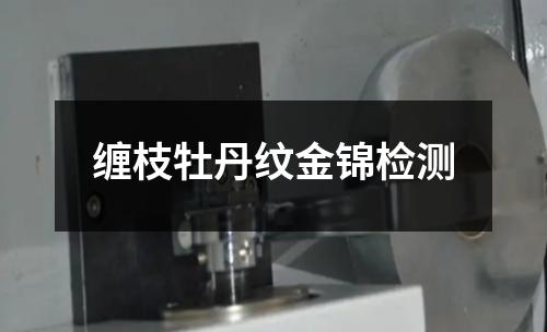 纏枝牡丹紋金錦檢測