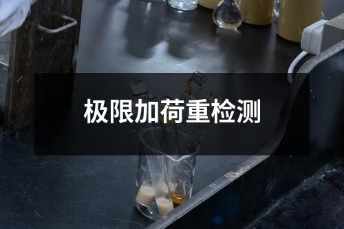 極限加荷重檢測(cè)