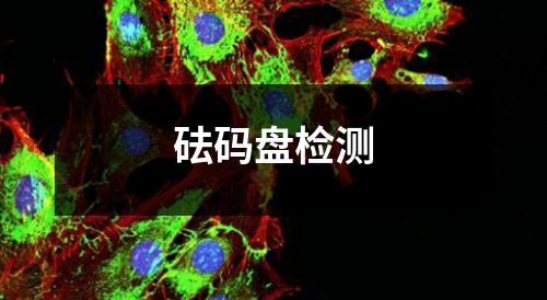 砝碼盤檢測