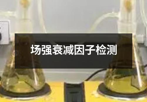 場(chǎng)強(qiáng)衰減因子檢測(cè)
