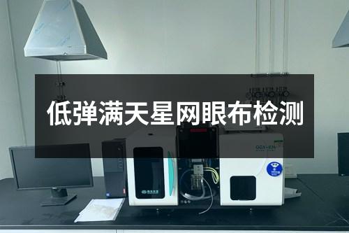 低彈滿天星網(wǎng)眼布檢測(cè)