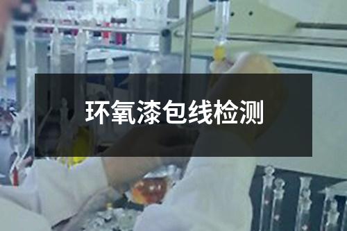 環(huán)氧漆包線檢測