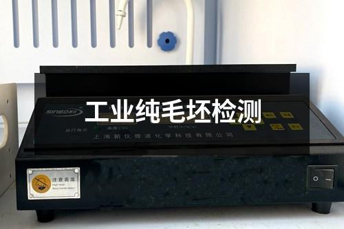 工業(yè)純毛坯檢測
