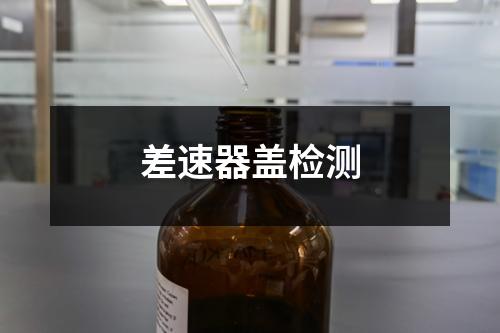 差速器蓋檢測
