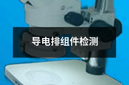 導(dǎo)電排組件檢測(cè)