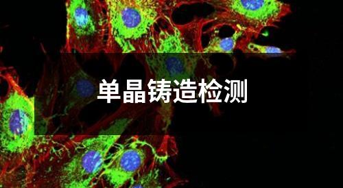 單晶鑄造檢測(cè)