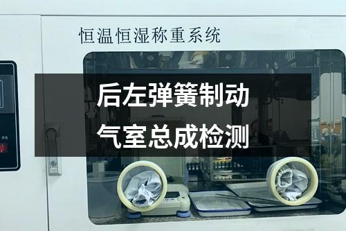 后左彈簧制動(dòng)氣室總成檢測(cè)