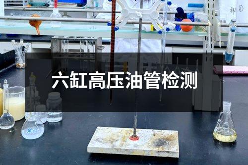 六缸高壓油管檢測(cè)