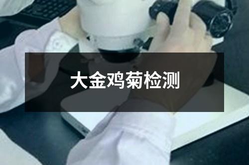 大金雞菊檢測