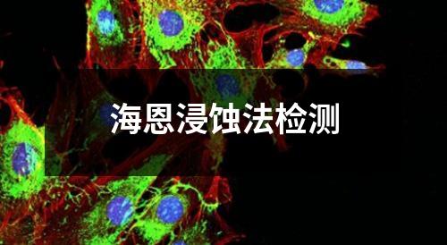海恩浸蝕法檢測(cè)