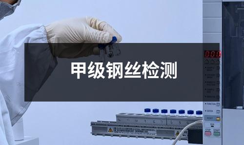 甲級鋼絲檢測
