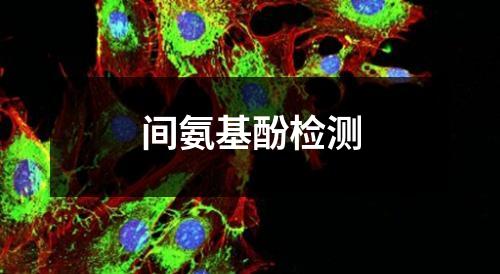 間氨基酚檢測(cè)
