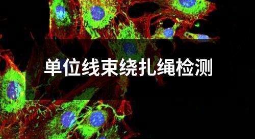 單位線束繞扎繩檢測(cè)