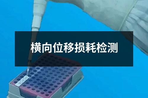 橫向位移損耗檢測