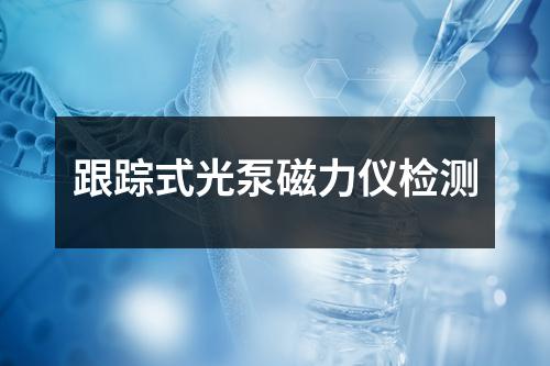 跟蹤式光泵磁力儀檢測