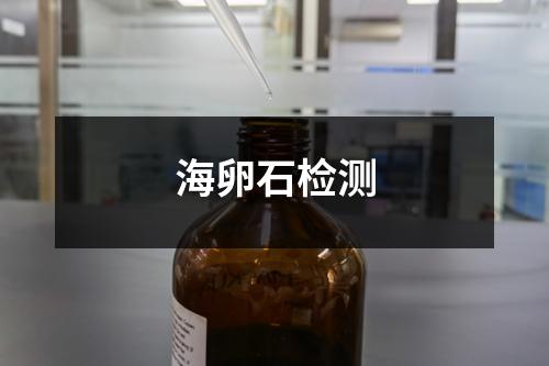 海卵石檢測(cè)