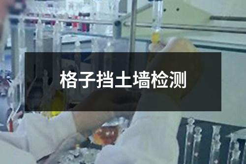 格子擋土墻檢測