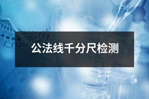 公法線千分尺檢測