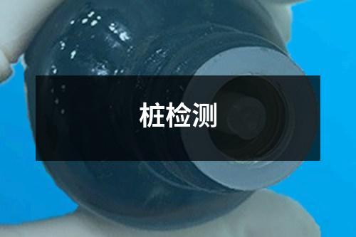 樁檢測(cè)