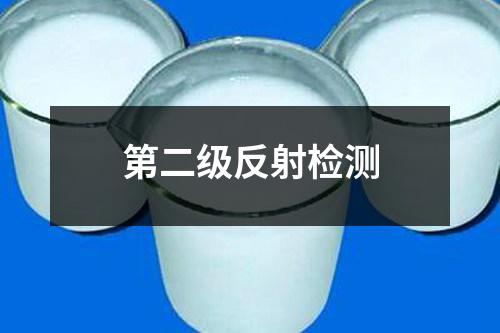 第二級反射檢測