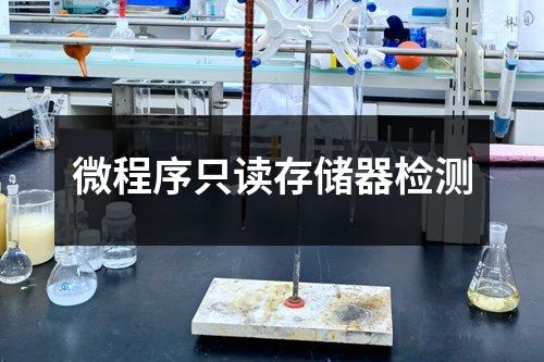 微程序只讀存儲器檢測