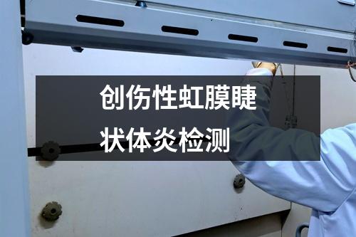 創(chuàng)傷性虹膜睫狀體炎檢測