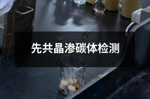 先共晶滲碳體檢測