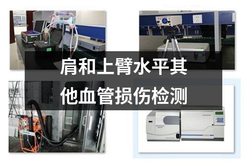 肩和上臂水平其他血管損傷檢測(cè)