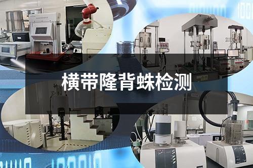橫帶隆背蛛檢測(cè)