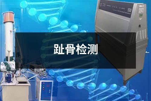 趾骨檢測