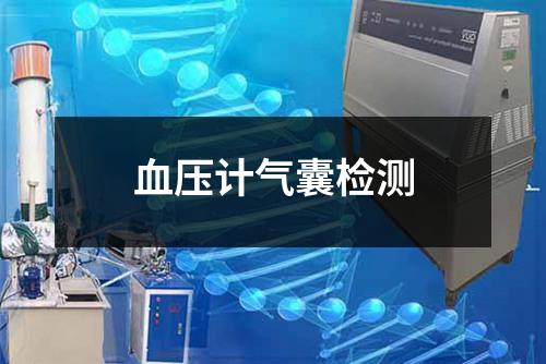 血壓計(jì)氣囊檢測