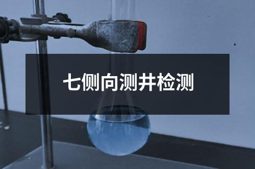 七側(cè)向測井檢測