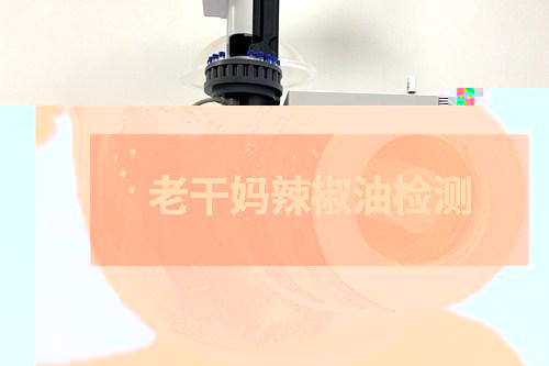 老干媽辣椒油檢測(cè)