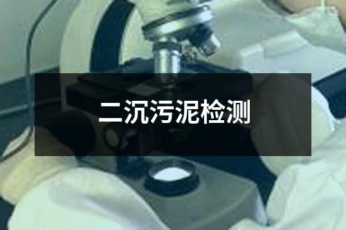 二沉污泥檢測