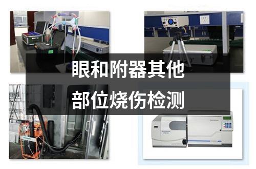眼和附器其他部位燒傷檢測