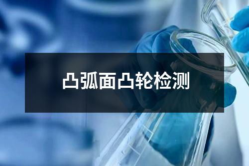 凸弧面凸輪檢測