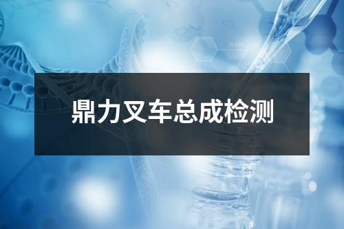 鼎力叉車總成檢測(cè)