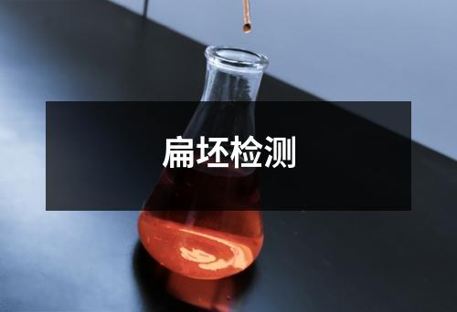 扁坯檢測