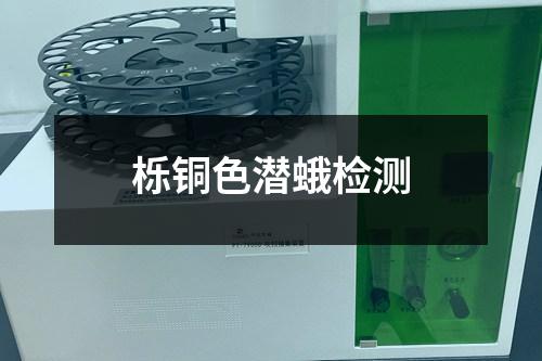 櫟銅色潛蛾檢測(cè)