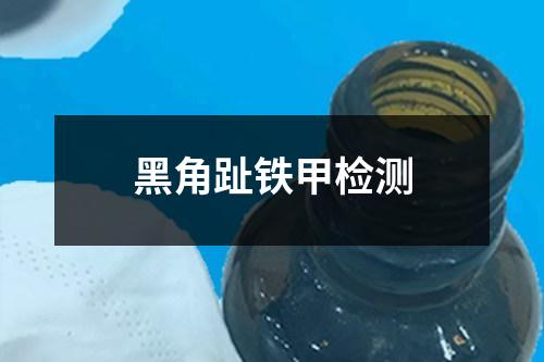 黑角趾鐵甲檢測(cè)