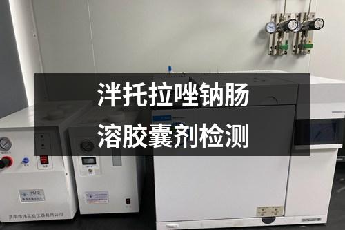 泮托拉唑鈉腸溶膠囊劑檢測