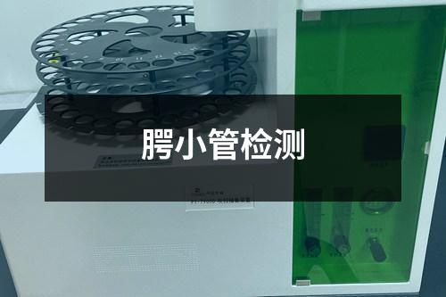 腭小管檢測(cè)