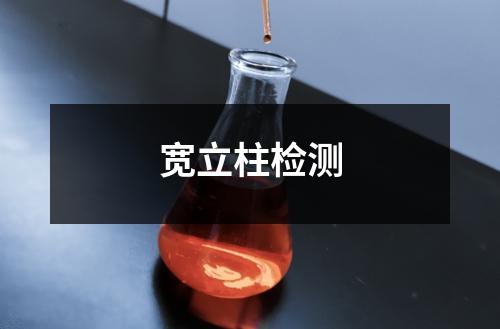 寬立柱檢測