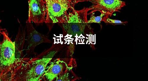 試條檢測