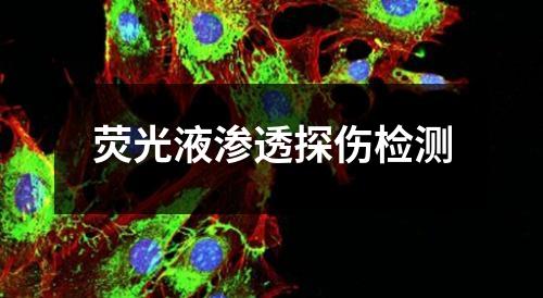 熒光液滲透探傷檢測